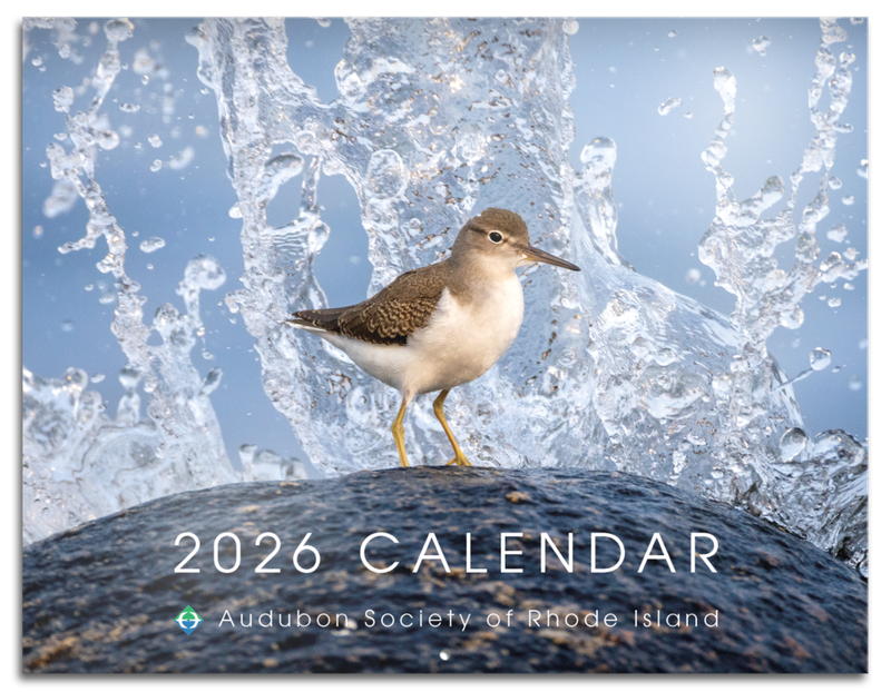 2026 Audubon Calendar