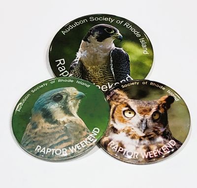 Raptor Weekend - Button