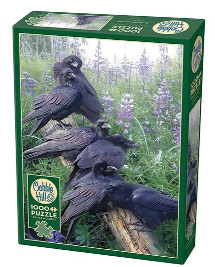 Raven Rendezvous Puzzle