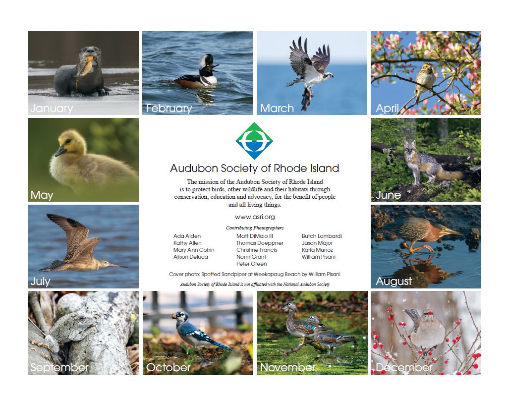 2026 Audubon Calendar