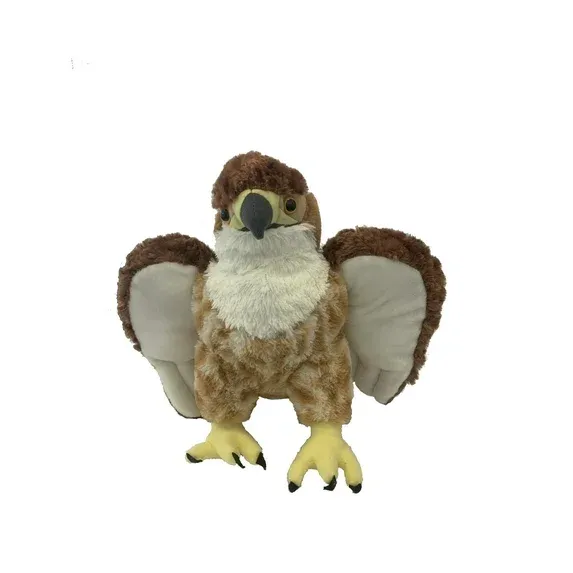  Red Tailed Hawk Large