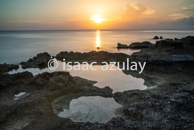 A Cayman's sunset