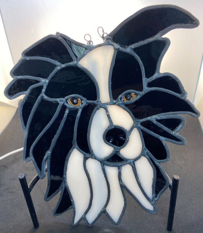 Boarder Collie