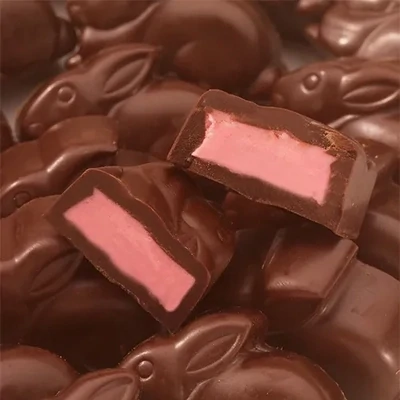 Dark Chocolate Raspberry Bunnies