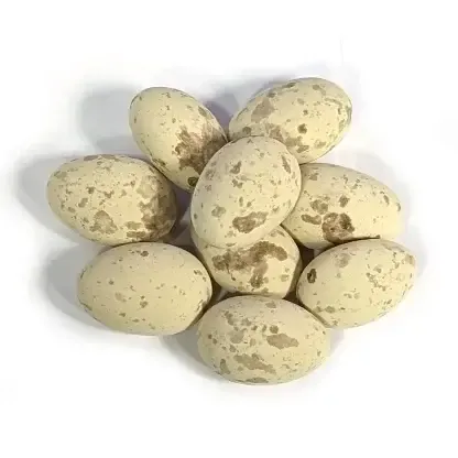 Marich Dark Chocolate Caramel Quail Eggs
