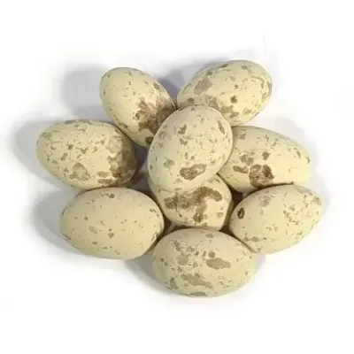 Marich Dark Chocolate Caramel Quail Eggs