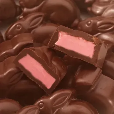 Dark Chocolate Raspberry Bunnies