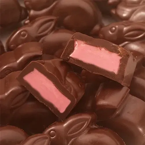 Dark Chocolate Raspberry Bunnies