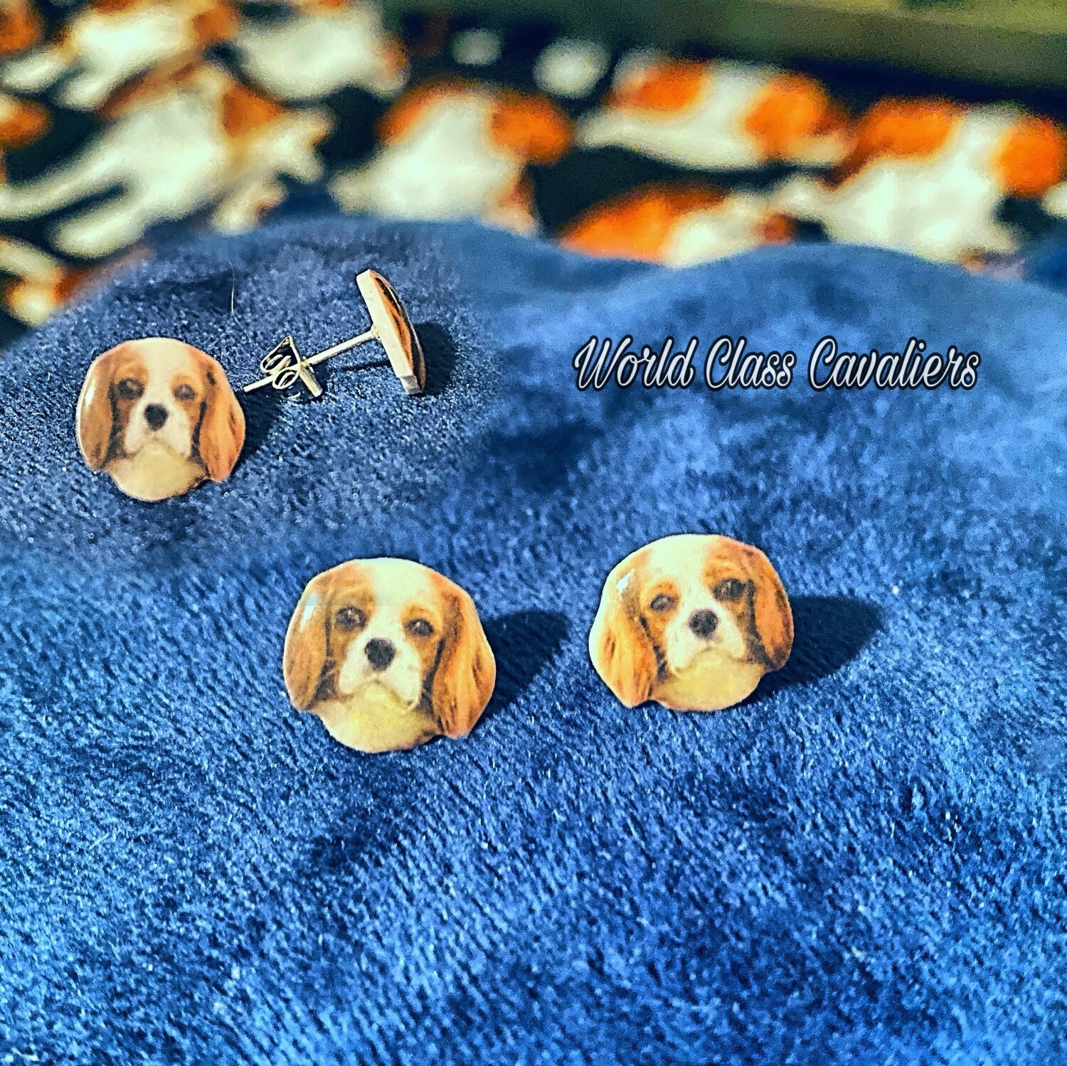 Cavalier King Charles Spaniel - Ear Studs