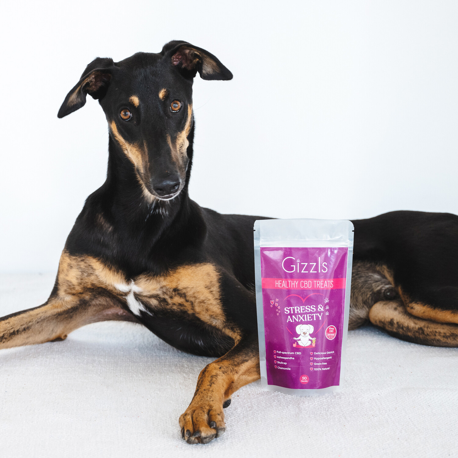 Cbd treats for dogs for pain 2025