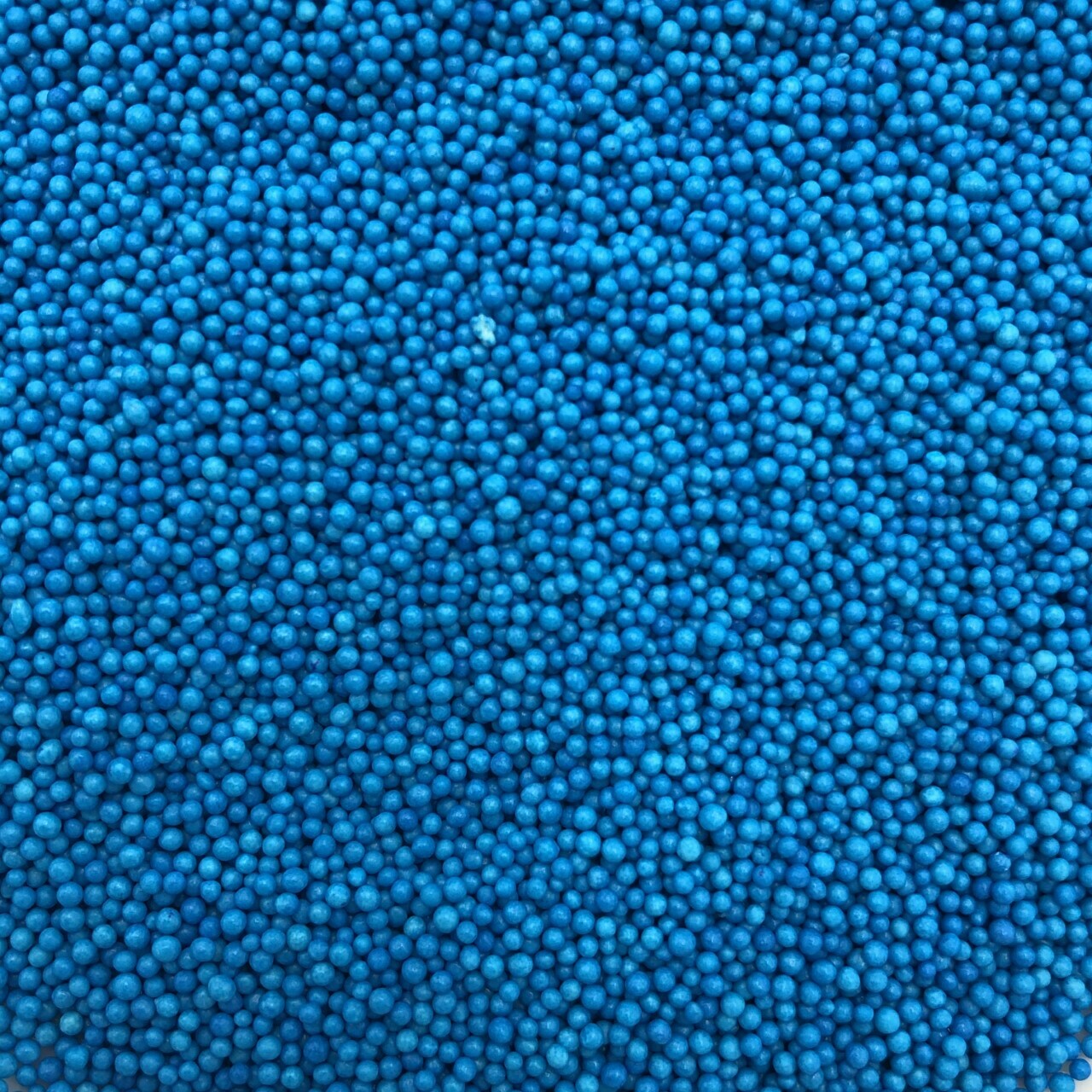 Blue Non-Pareils