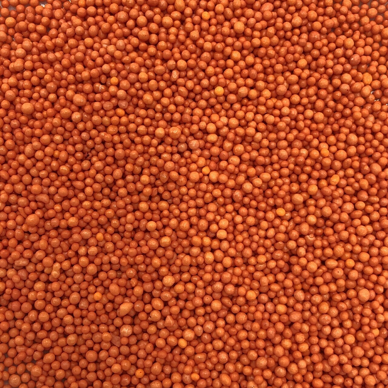 Orange Non-Pareils