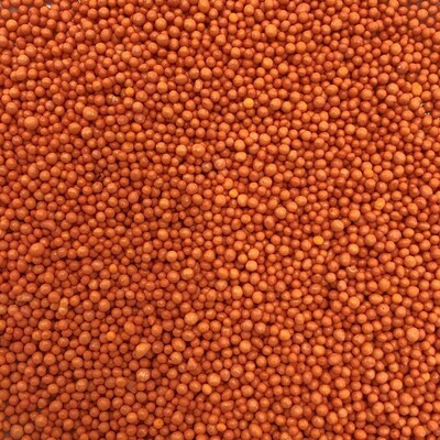 Orange Non-Pareils