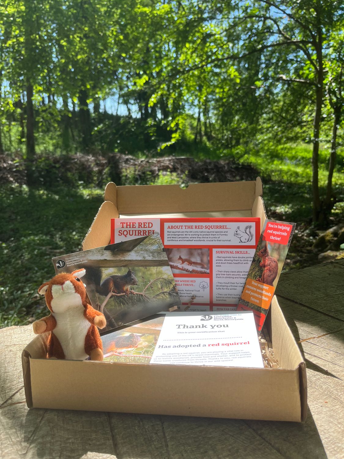 Red squirrel gift adoption pack