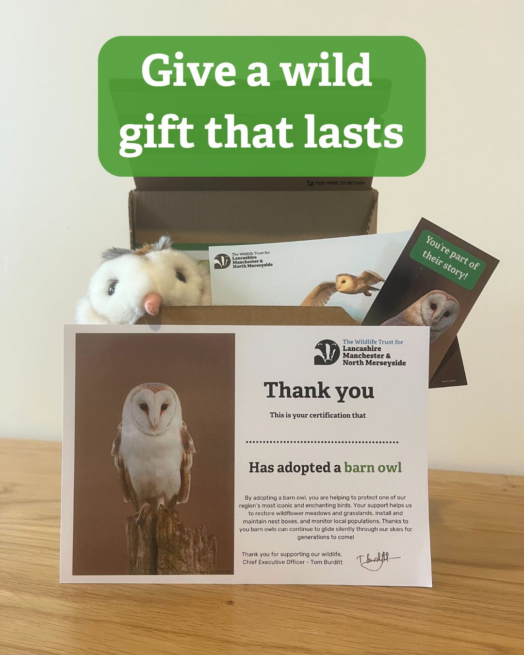 Barn owl gift adoption pack