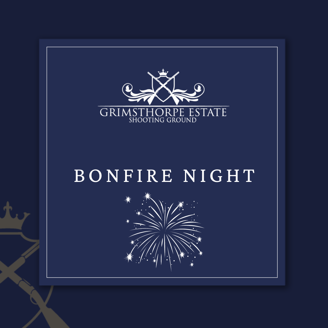 Bonfire Night and Fireworks