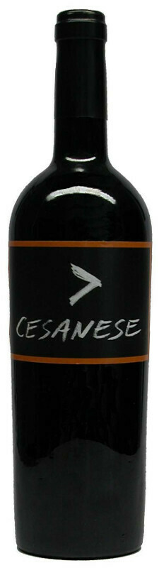 Cesanese IGT Lazio rosso
L'Olivella Cesanese IGT Lazio rosso
L'Olivella