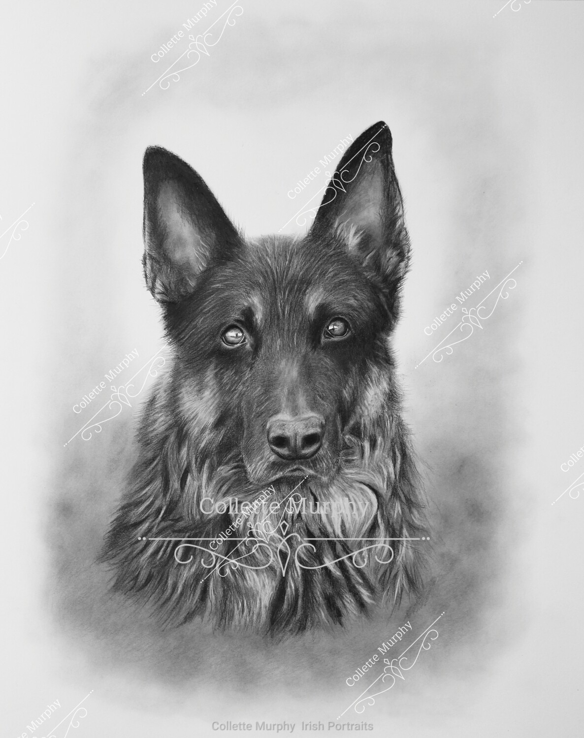 Fine Art Print - Dakota