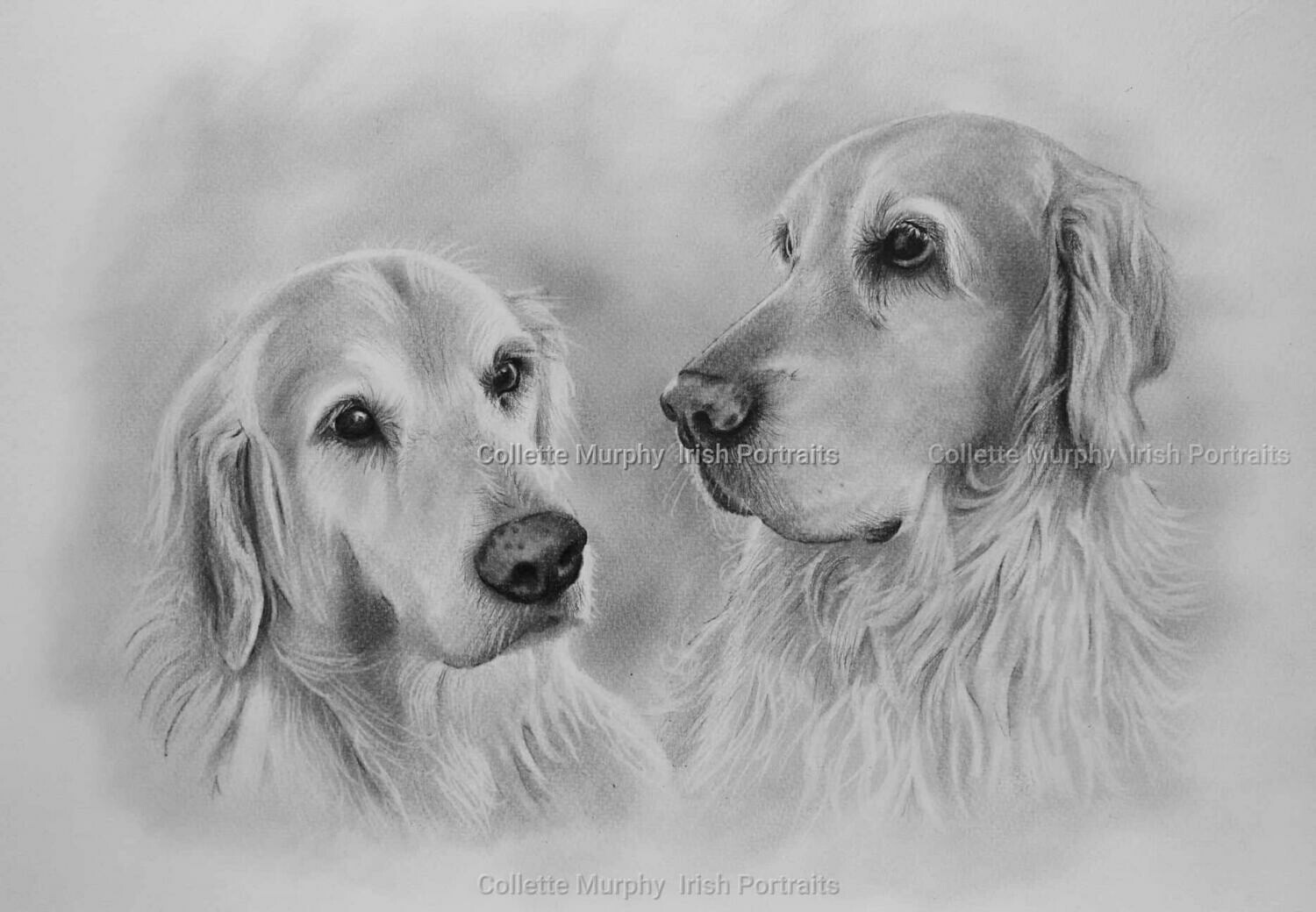 Pencil Portrait of 2 animals