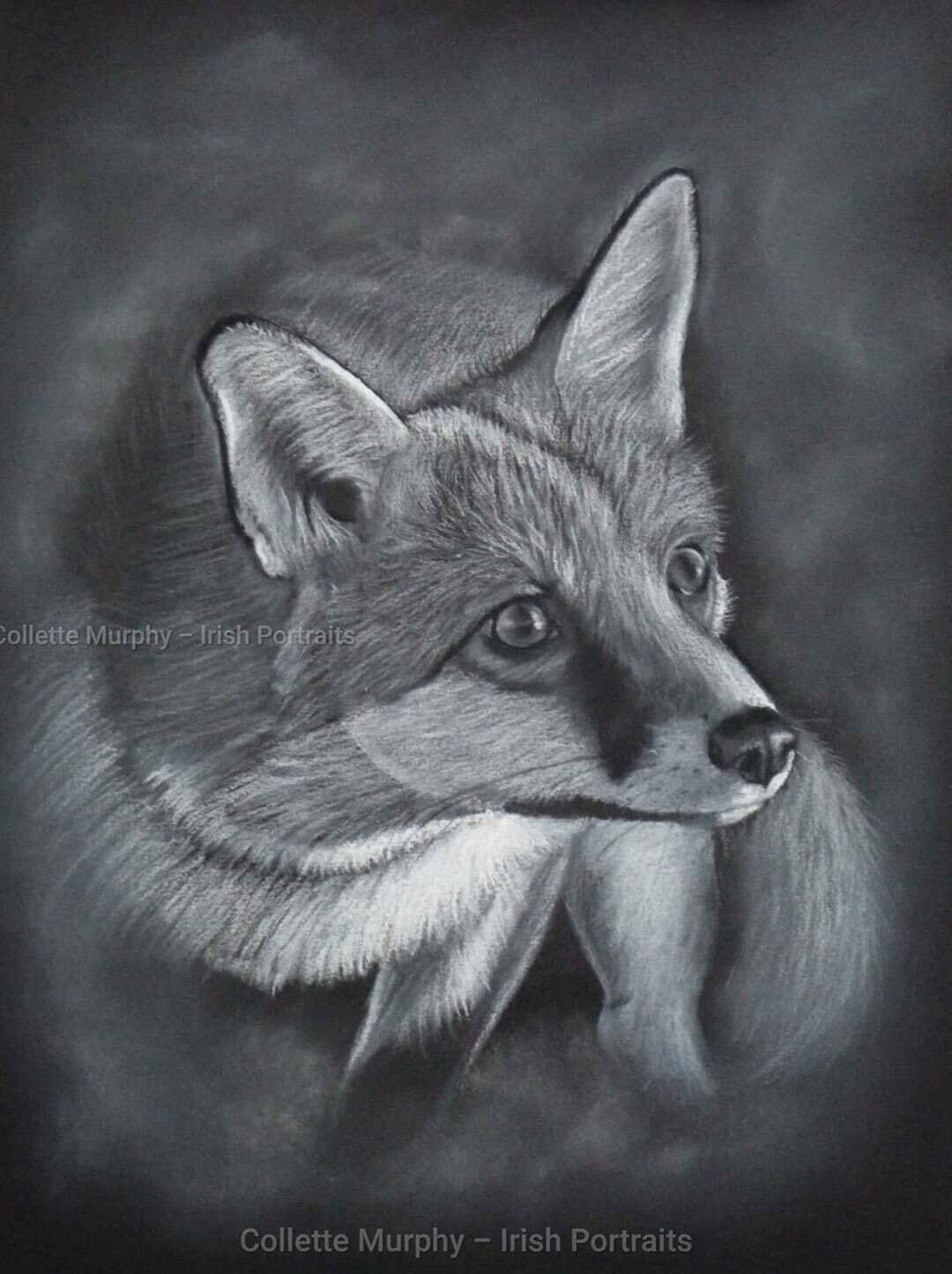 Fine Art Print - Intent  (LIMITED EDITION)