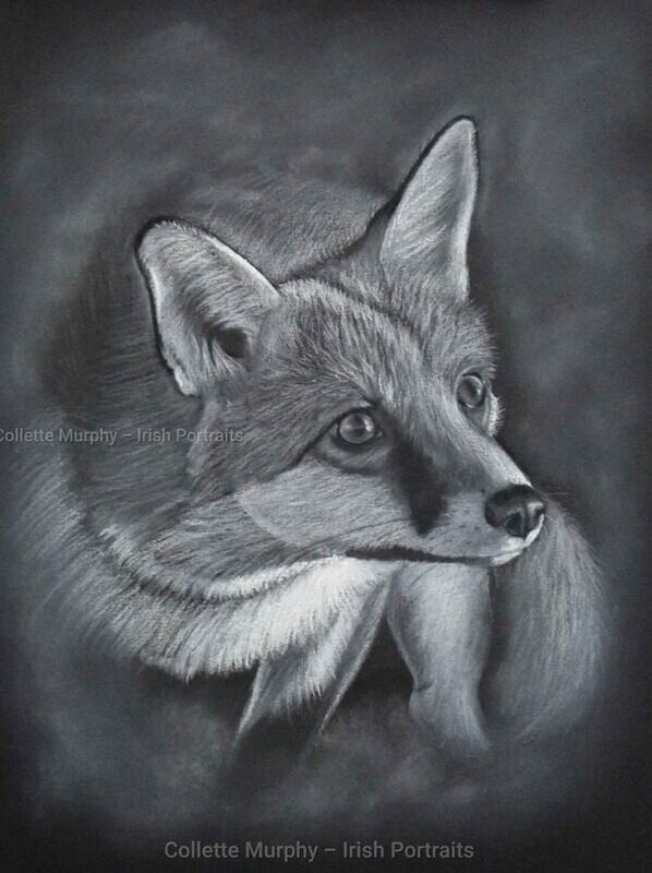 Fine Art Print - Intent  (LIMITED EDITION)