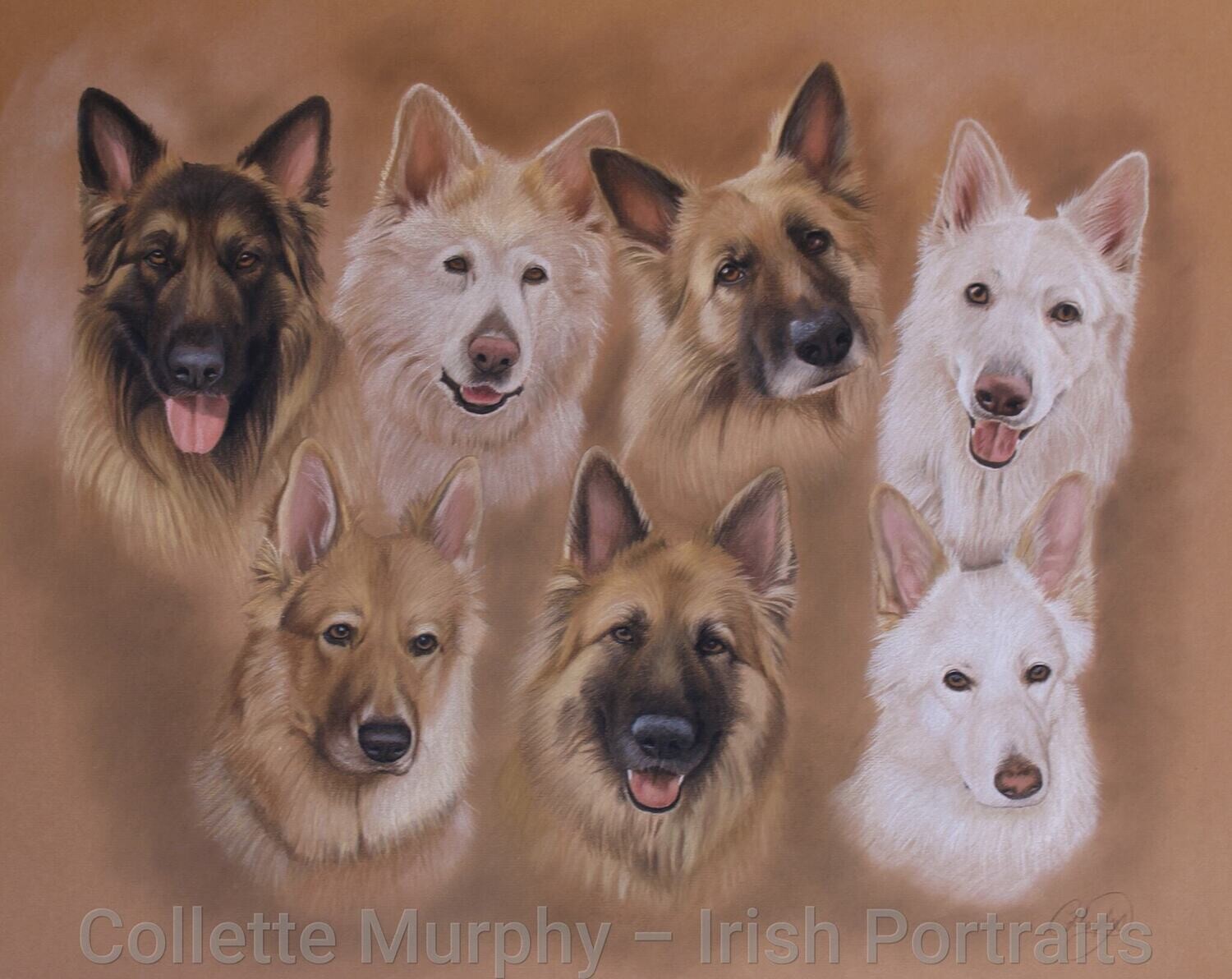 Colour Portrait of 7 Animals