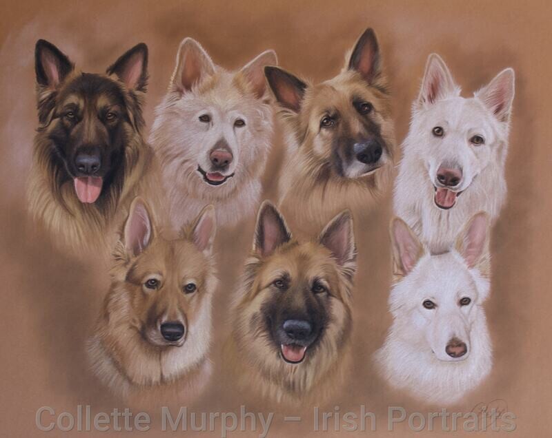 Colour Portrait of 7 Animals