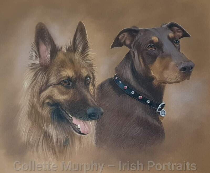 Colour Portrait of 2 animals