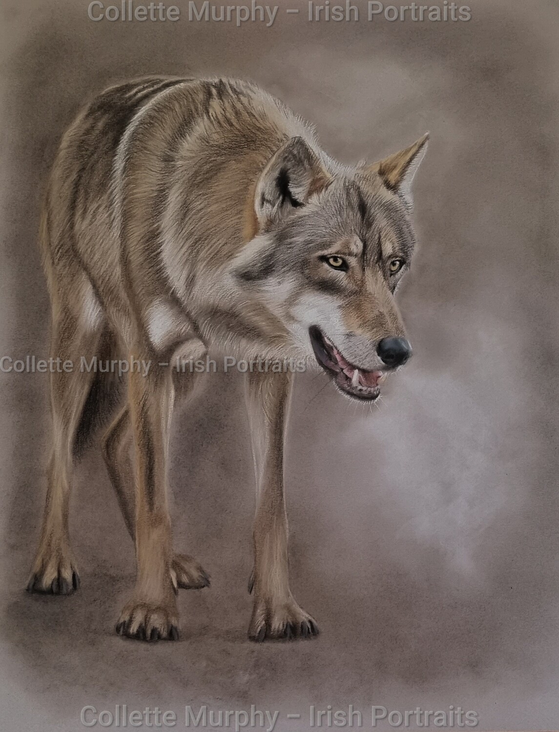 FINE ART PRINT  - Mac Tíre  (Limited edition)