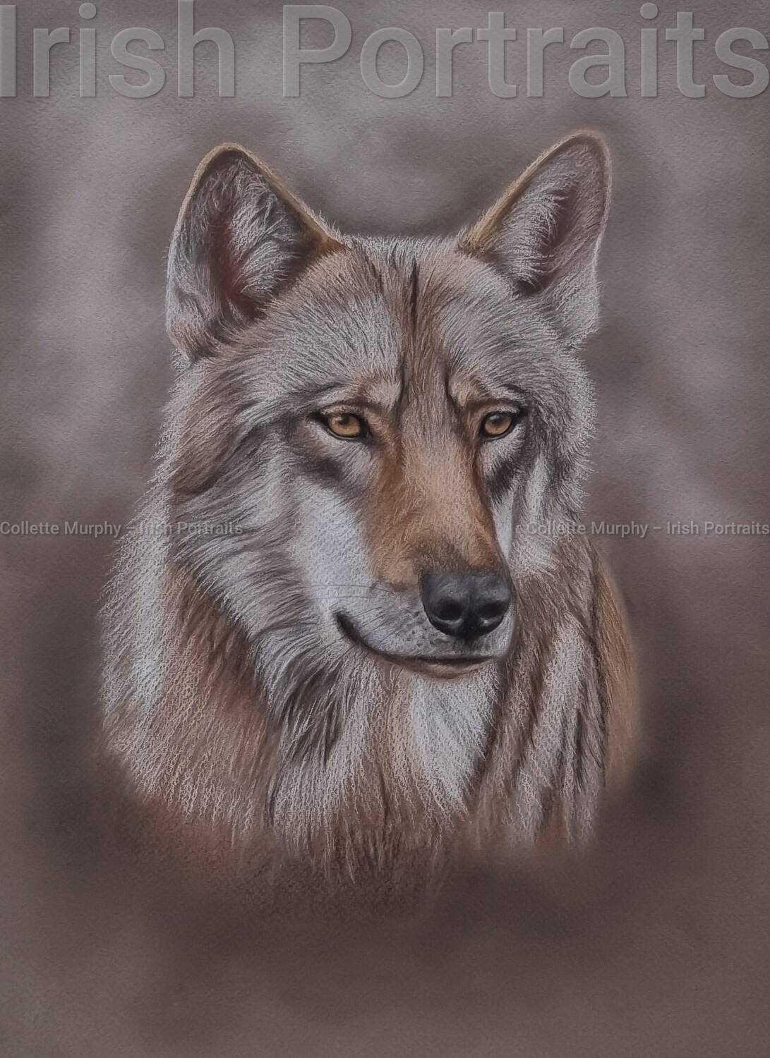 FINE ART PRINT  - An T-eolas  (Limited edition)