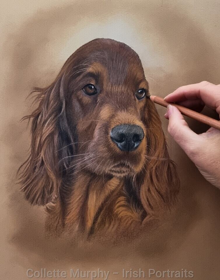 Colour Portrait of 1 animal