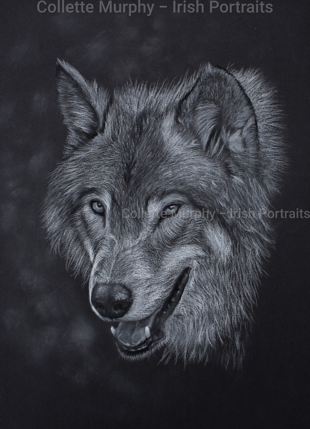 An Mac Tíre Aonair  - Original Artwork