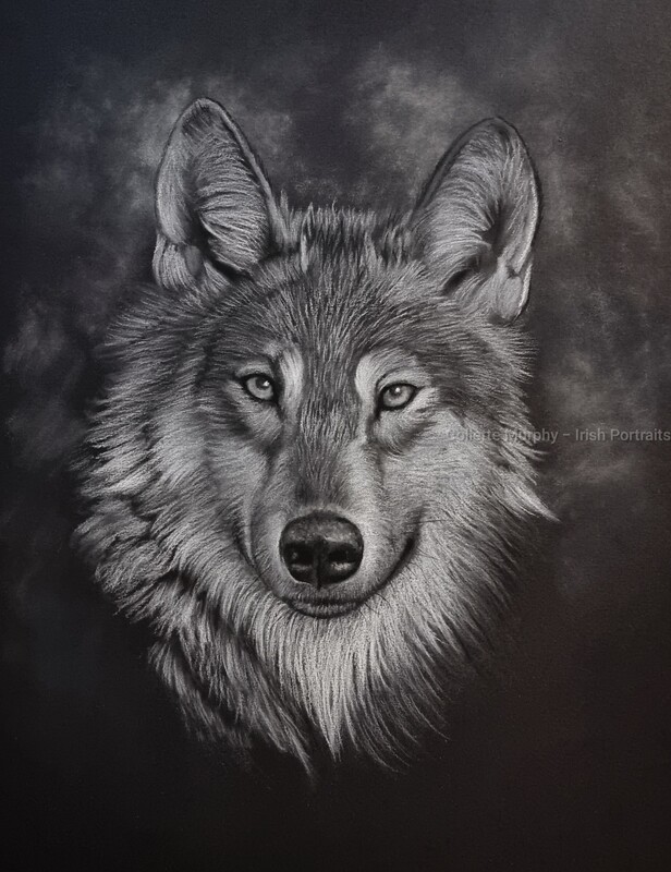 Fine Art Print - An Faireoir  (LIMITED EDITION)