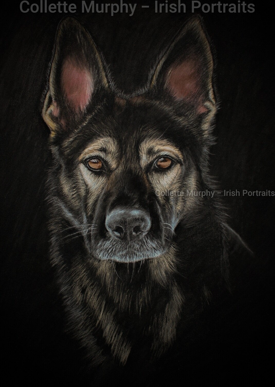 Fine Art Print - Havok