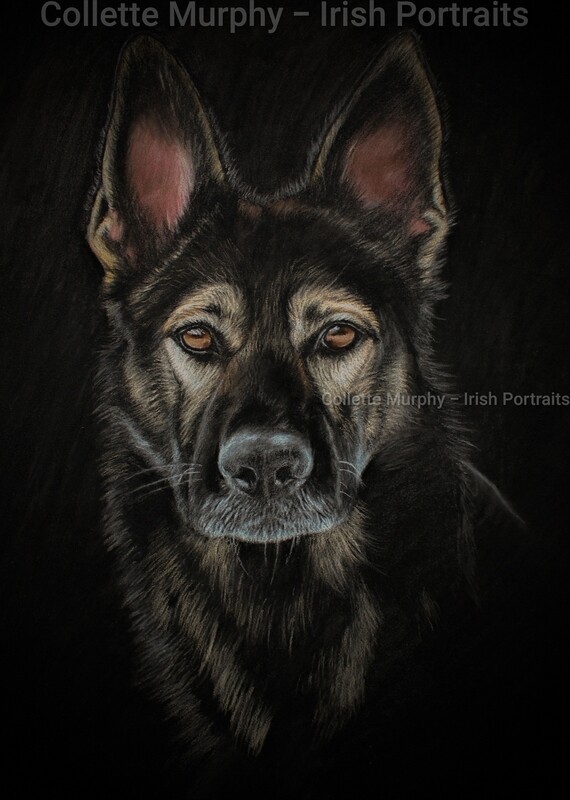 Fine Art Print - Havok