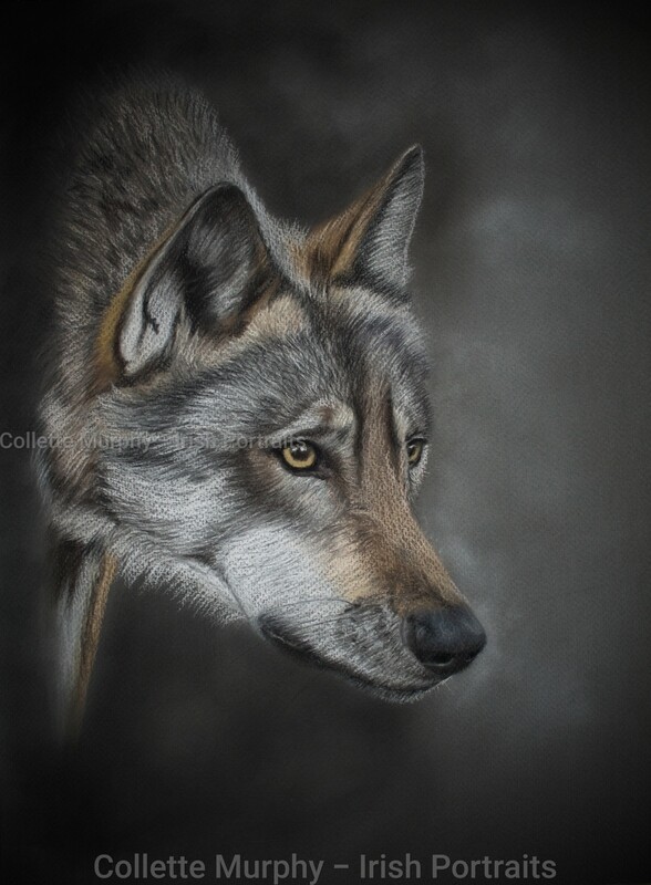  Faireachas - Original Artwork