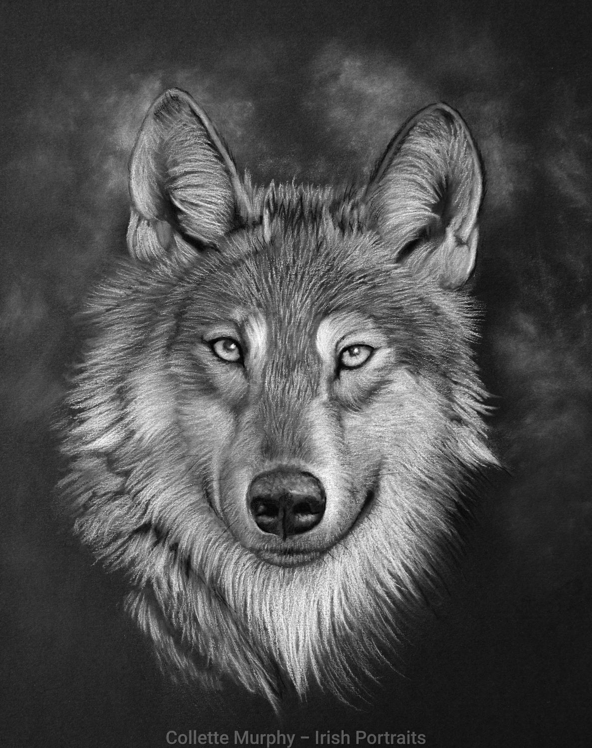 White on Black Portrait of Your Pet - 1 animal