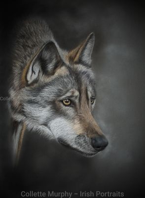Original Artworks