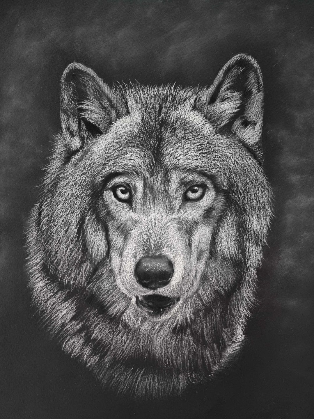 Sétanta - Original Artwork