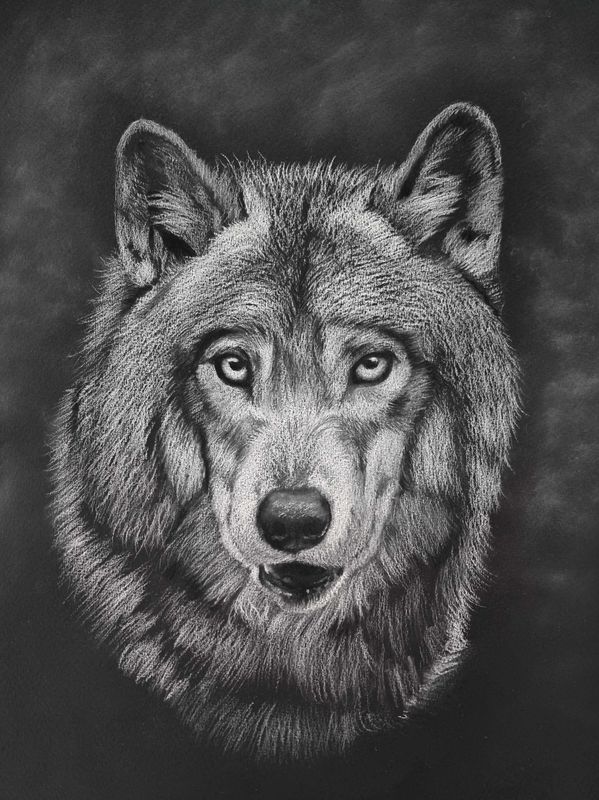 Sétanta - Original Artwork