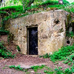 CONSTRUCTION / bunkers