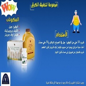 مجموعة التخسيس الاقتصادية 1 مجموعة التخسيس الاقتصادية 1