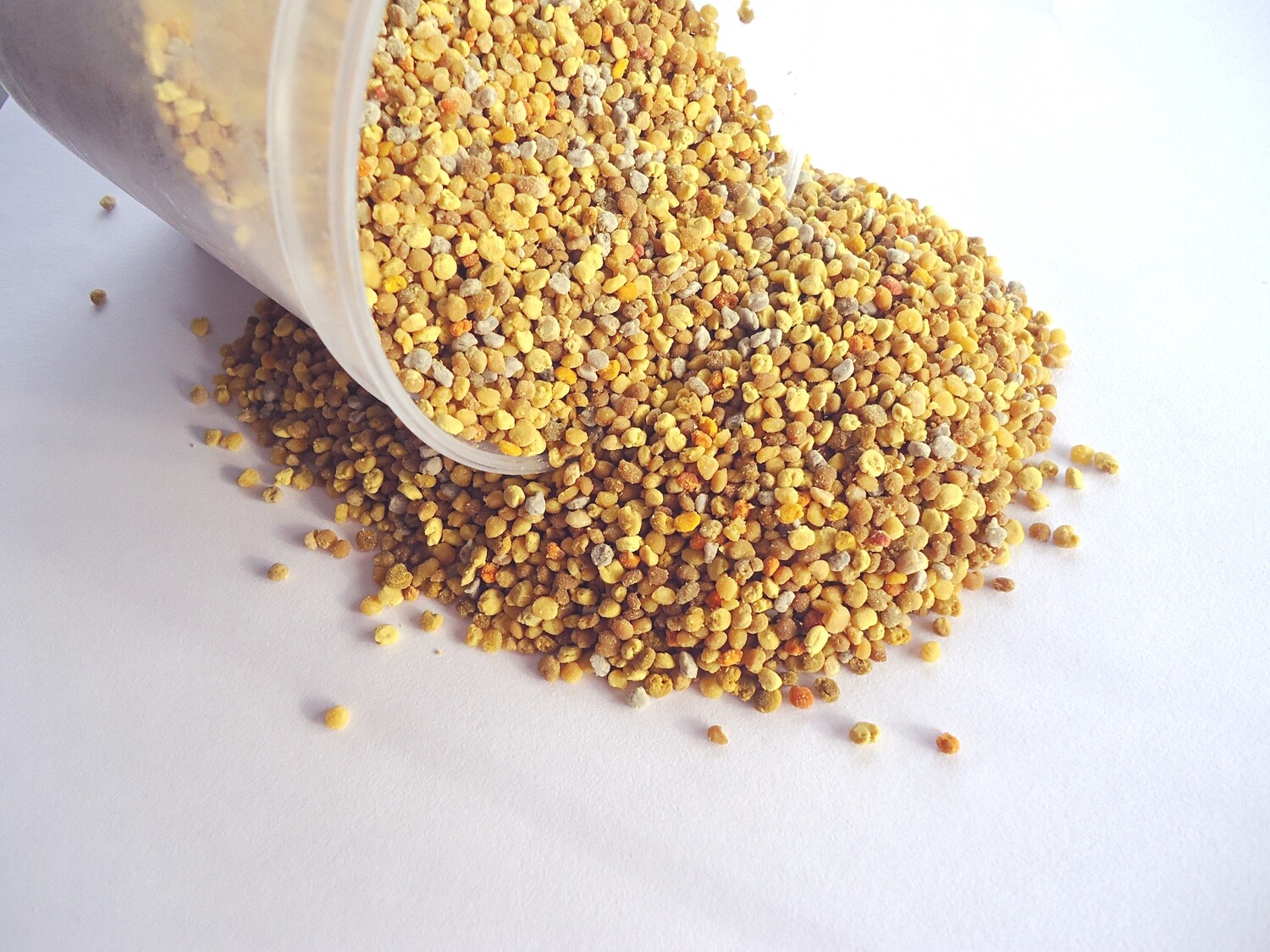 Pollen frais 250g