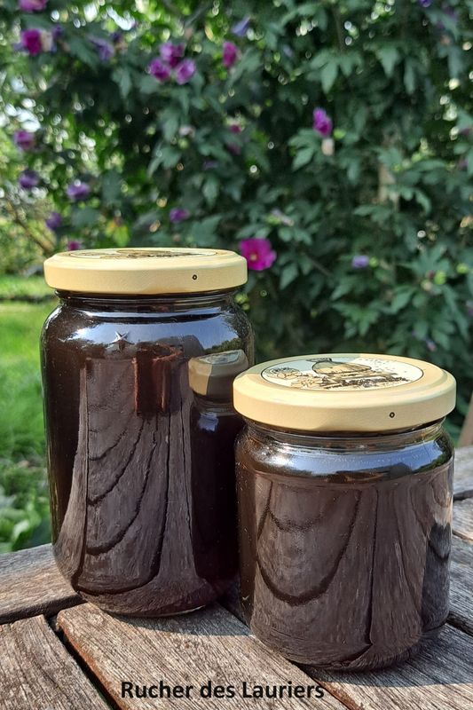 Miel de Blé Noir