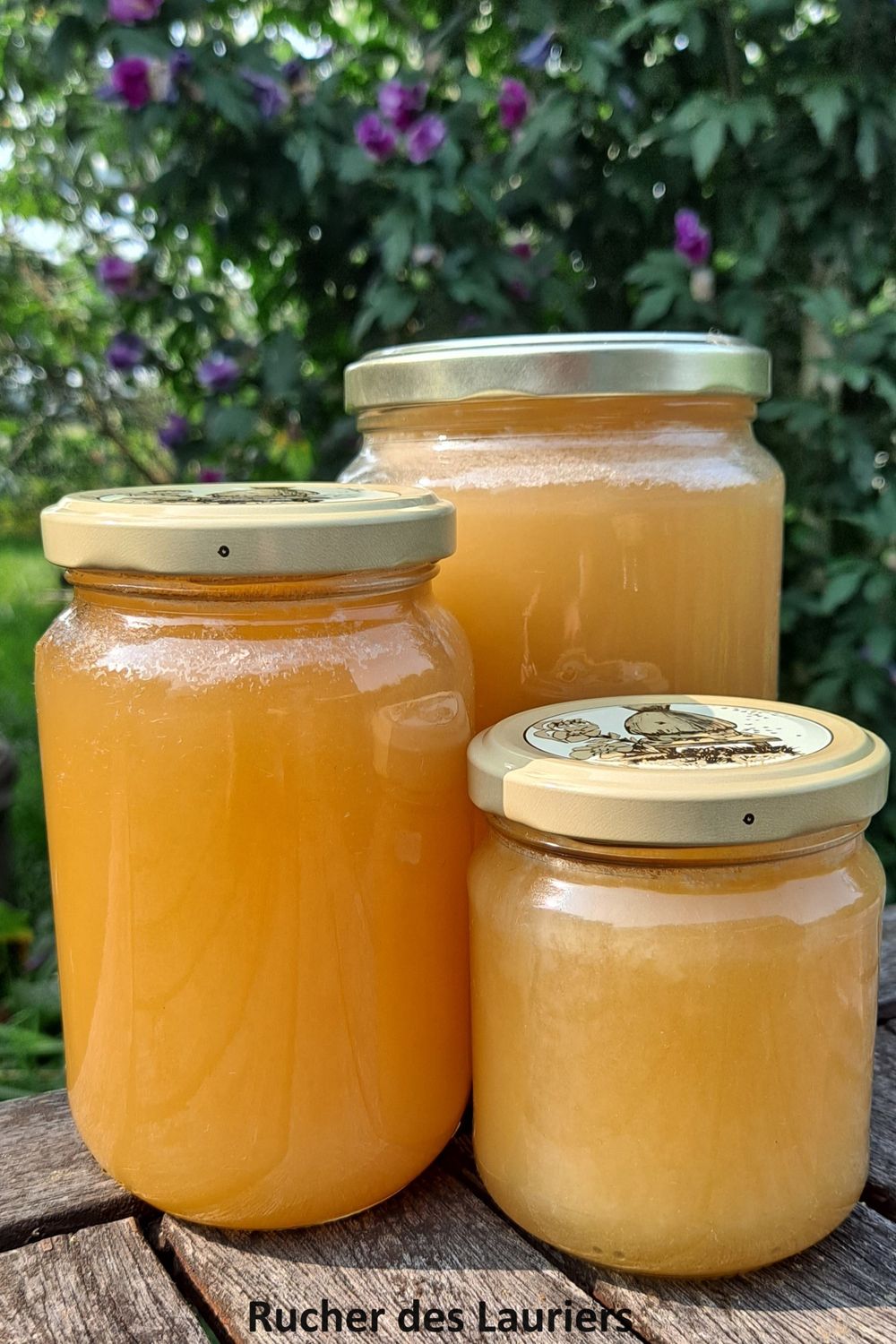 Miel de Printemps