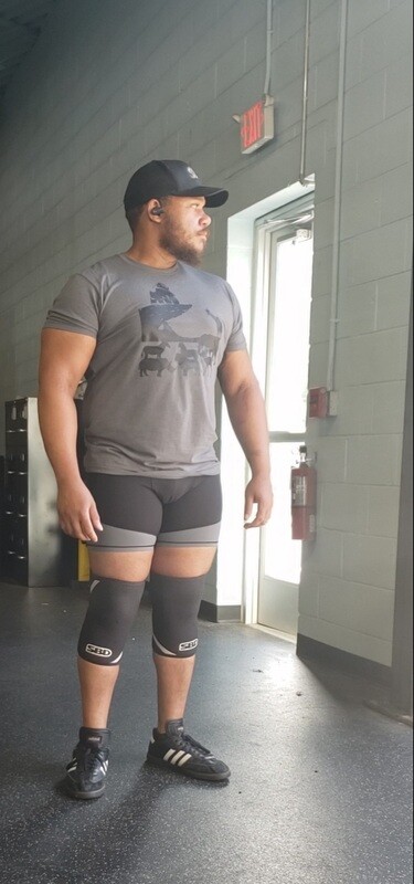 Silverback Strong &quot;Animal Kingdom&quot;