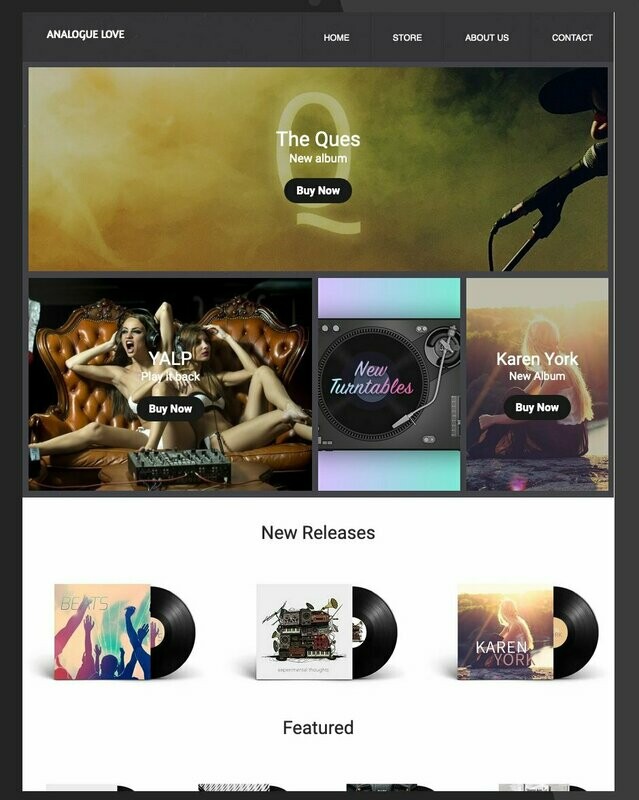 Vinyl Record Store