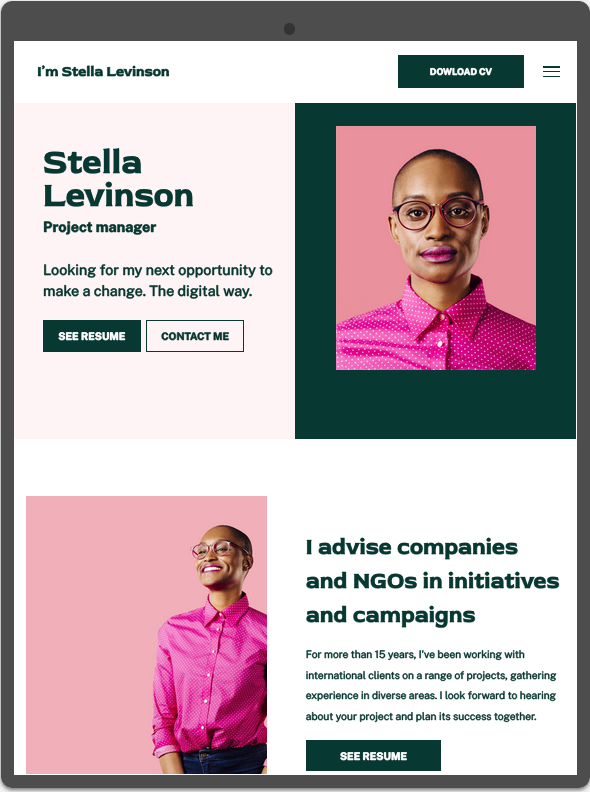 Professional CV