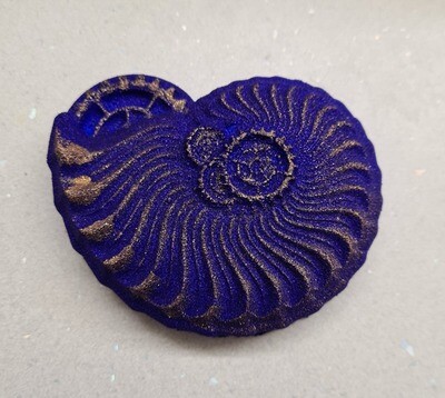 Steamshell BBHP EXCLUSIVE