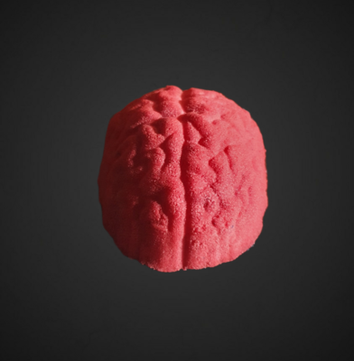 Brain  BBHP EXCLUSIVE